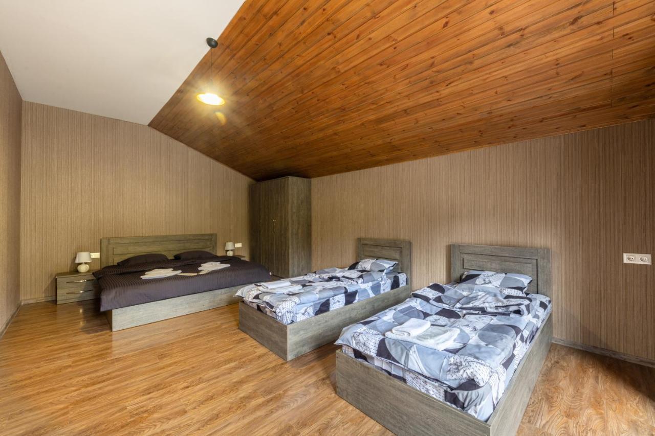 - Didveli Residence Lux Apartments - Бакуриани Экстерьер фото