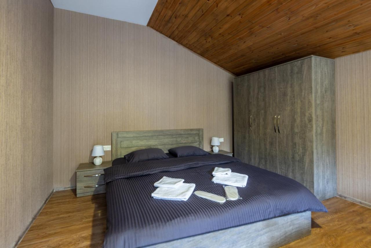 - Didveli Residence Lux Apartments - Бакуриани Экстерьер фото