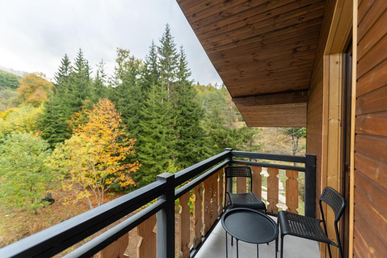 - Didveli Residence Lux Apartments - Бакуриани Экстерьер фото