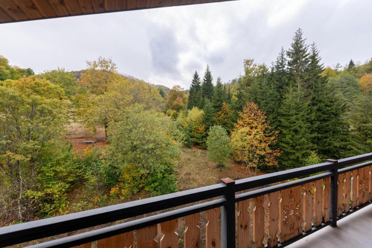 - Didveli Residence Lux Apartments - Бакуриани Экстерьер фото