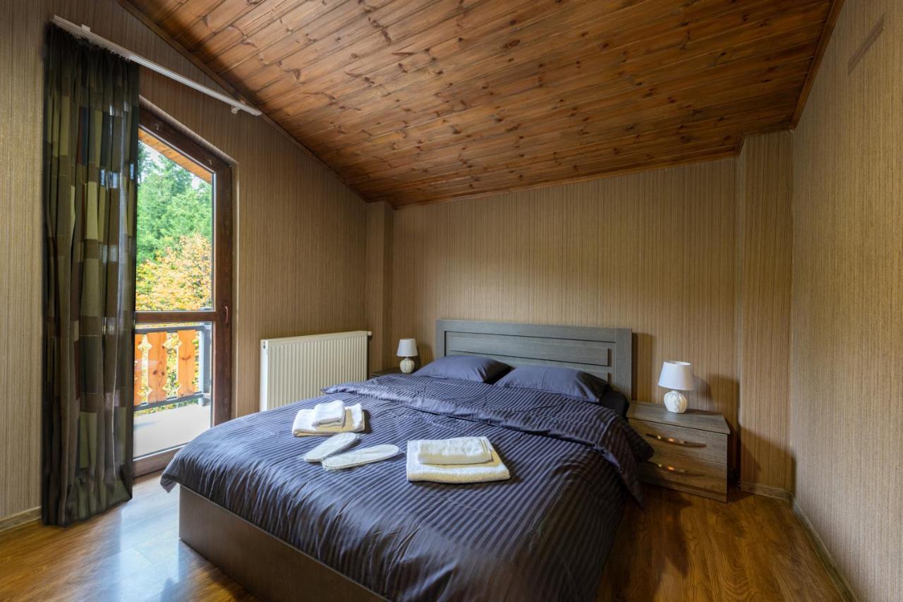 - Didveli Residence Lux Apartments - Бакуриани Экстерьер фото
