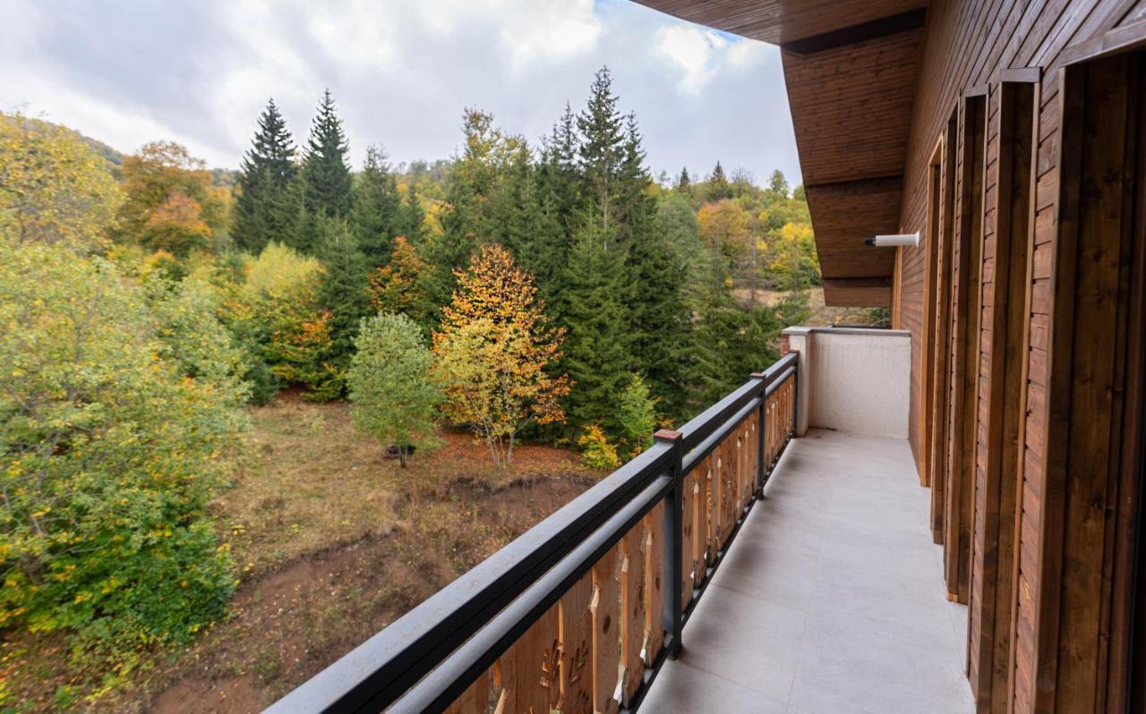 - Didveli Residence Lux Apartments - Бакуриани Экстерьер фото
